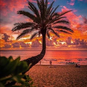 Meet your Posher, Danny